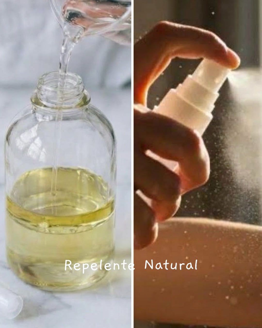 Aceite Esencial de Lavanda (Lavanda Angustifiola) 5 ml.
