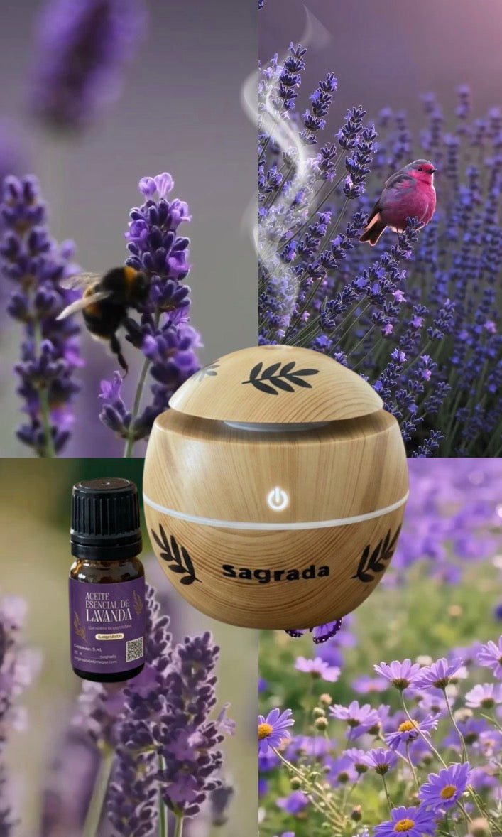 Kit Ritual de Bienestar: Difusor Ultrasónico + Aceite Esencial Puro (5 ml)
