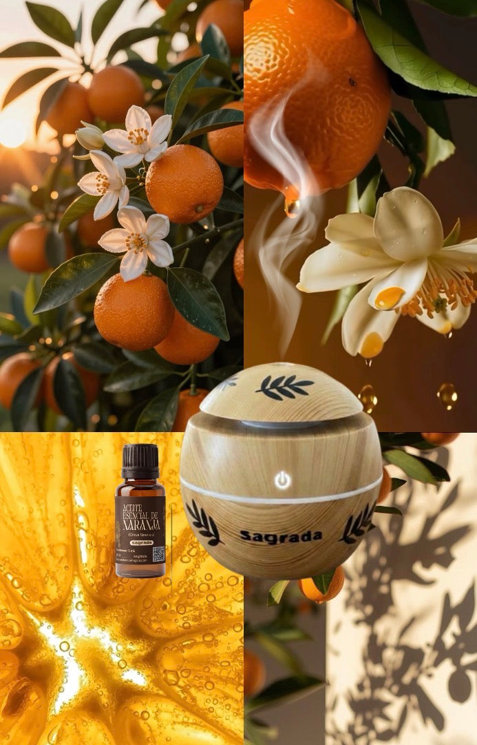 Kit Ritual de Bienestar: Difusor Ultrasónico + Aceite Esencial Puro (5 ml)